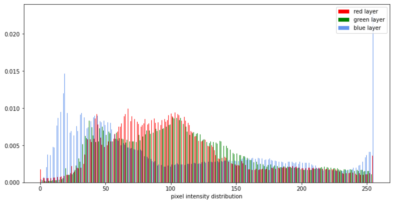 notebooks/images/histogram_pixels.png