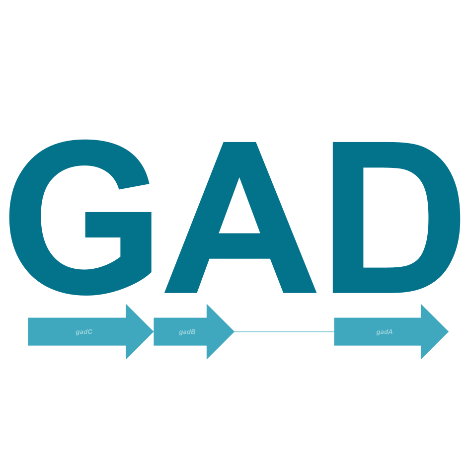 GAD